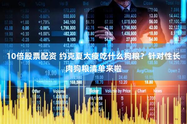 10倍股票配资 约克夏太瘦吃什么狗粮？针对性长肉狗粮清单来啦