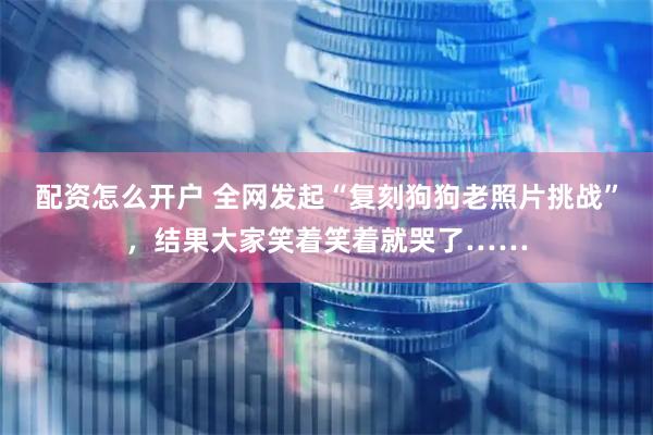 配资怎么开户 全网发起“复刻狗狗老照片挑战”，结果大家笑着笑着就哭了……