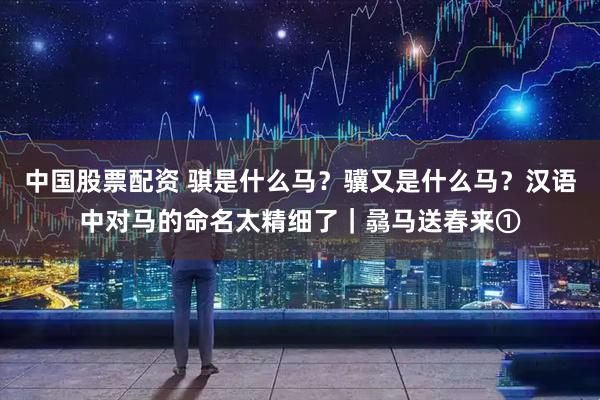 中国股票配资 骐是什么马？骥又是什么马？汉语中对马的命名太精细了｜骉马送春来①