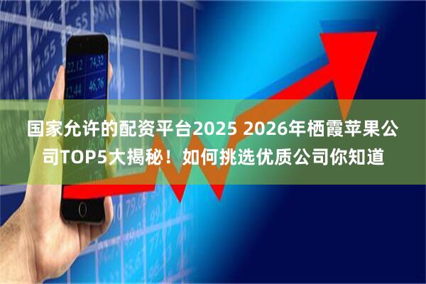 国家允许的配资平台2025 2026年栖霞苹果公司TOP5大揭秘！如何挑选优质公司你知道