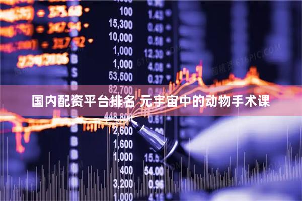 国内配资平台排名 元宇宙中的动物手术课