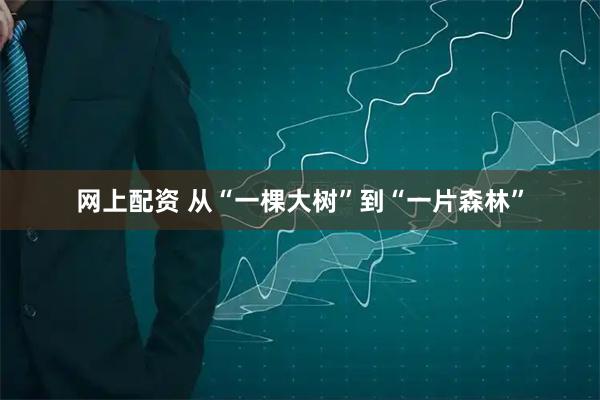 网上配资 从“一棵大树”到“一片森林”
